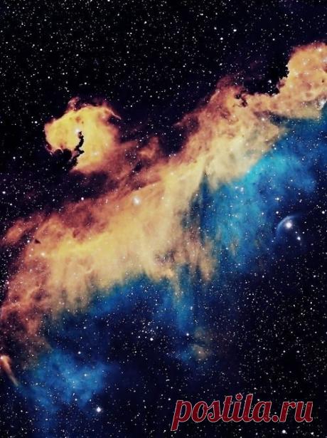 Julia Benton приколол(а) это к доске Mysterious Unknown