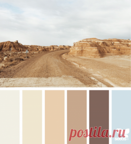 Summer | Issue No. 2