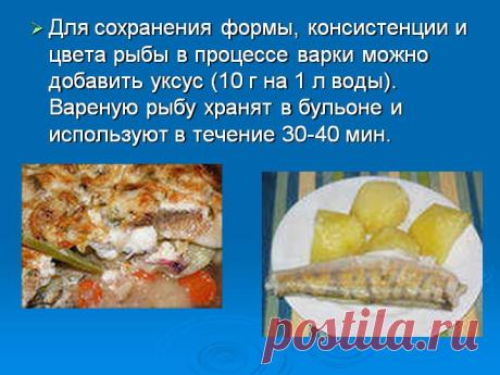 картинки рыба и лимон- как может называться - Поиск в Google