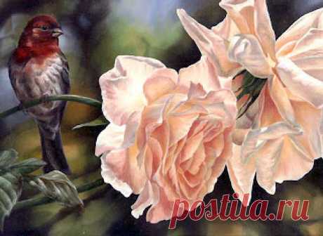 Коллекция картинок: Птицы и цветы Aleta Steward