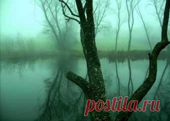 В нашей жизни всё прискорбно зыбко... (Елена Громцева) / Стихи.ру