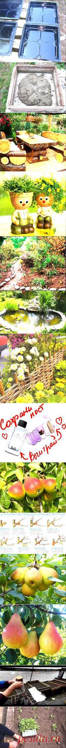 Сад и огород | Постила.ru