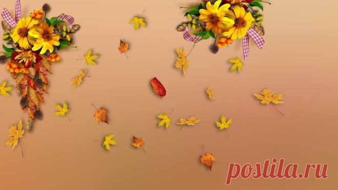 125356675_555511_mini_mini.jpg (Изображение JPEG, 1600 × 900 пикселов) - Масштабированное (63%)