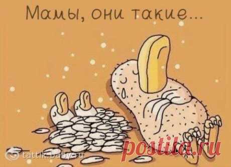 Юлия Шевская