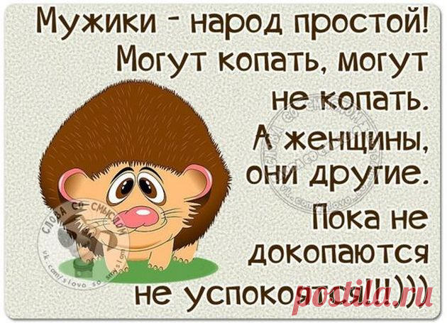 Если девушка схватилась за нож во время ссоры, не пугайтесь!... Из вопросов пациентов врачу: Муж нарисовал йодистую сетку ребёнку на спине в виде таблицы чемпионата России по футболу. И уже несколько недель не даёт смывать, вносит исправления! Не вредно ли ребёнку столько йода? - Дорогой, я что-то себе совсем места не нахожу...