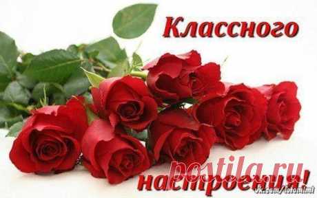 Интересные новости
