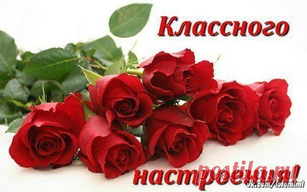 Интересные новости