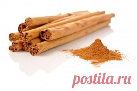 ДИЕТА ВЕЧНОЙ МОЛОДОСТИ. УЧЕНЫЕ ВЫЯСНИЛИ, ЧТО НУЖНО ЕСТЬ, ЧТОБЫ НЕ СТАРЕТЬ