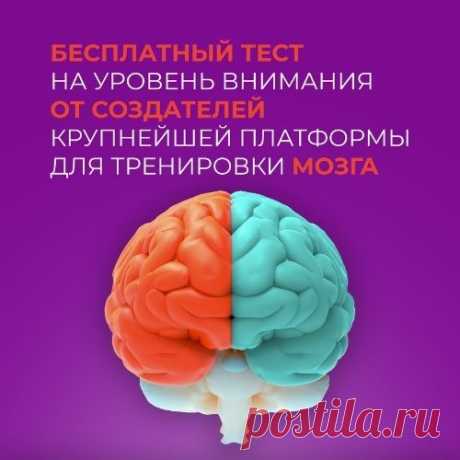 Как натренировать мозг, память и внимание. - Я, БЛОГЕР!