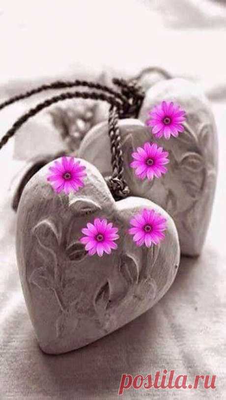 (332) Pinterest