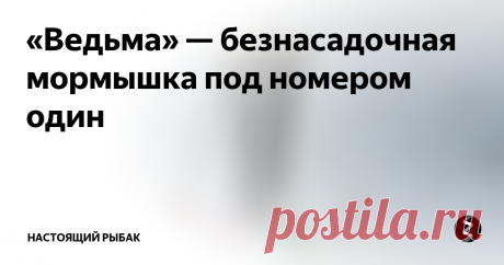 «Ведьма» — безнасадочная мормышка под номером один Чувство юмора рыбакам не занимать. «Чертик», «балда«, «грейдер», «дьявол», «ведьма» — это все любимые безнасадочные мормышки для зимней подледной ловли.
А последнее время и в летний период открытой воды многие «мормышечники» меняют зимние удочки на добротные снасти для летней рыбалки, но используют в качестве приманок свой зимний арсенал.
Дойти до использования всей выше озвученной «нечисти» летом