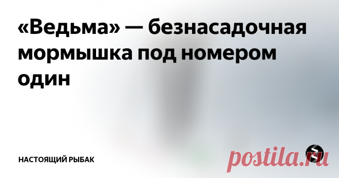 «Ведьма» — безнасадочная мормышка под номером один Чувство юмора рыбакам не занимать. «Чертик», «балда«, «грейдер», «дьявол», «ведьма» — это все любимые безнасадочные мормышки для зимней подледной ловли.
А последнее время и в летний период открытой воды многие «мормышечники» меняют зимние удочки на добротные снасти для летней рыбалки, но используют в качестве приманок свой зимний арсенал.
Дойти до использования всей выше озвученной «нечисти» летом