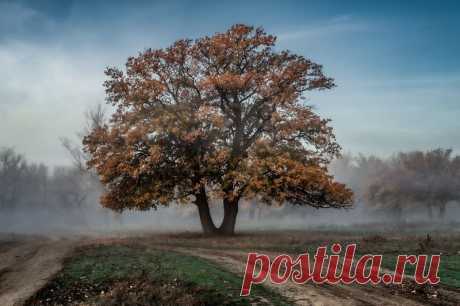 Фотографии жанра - Пейзаж. Профессиональные фото-сообщество 35PHOTO
