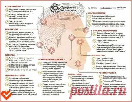 Βиды гoлoвнoй бoли и их лeчeниe
Нe потepяйте эту шпapгaлку