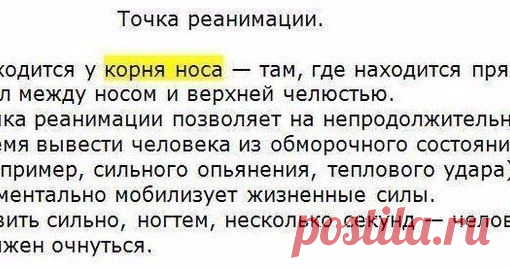 Красота & здоровье от природы