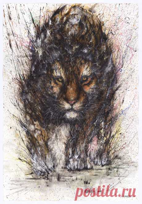 БРЫЗГИ ТВОРЧЕСТВА ОТ HUA TUNAN