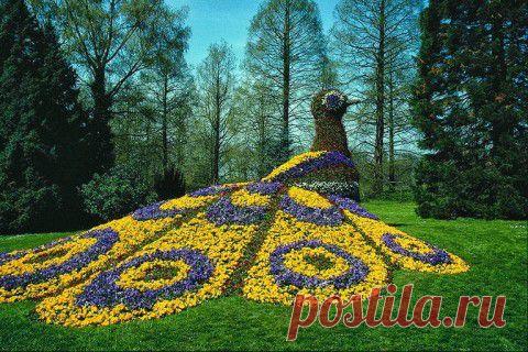 скульптуры из цветов - Самое интересное в блогах