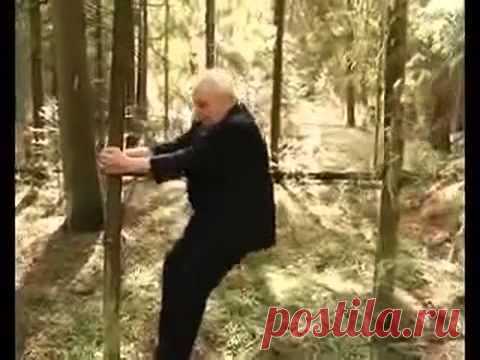 Лечебные приседания