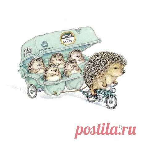 Иллюстратор Peter Cross