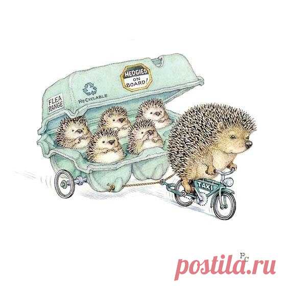 Иллюстратор Peter Cross