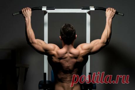 Что эффективнее для мужчины: отжимания от пола или подтягивания
Как известно, среди всех упражнений мужчины предпочитают два — отжимания и подтягивание. И довольно часто мне задают вопрос, какое из этих упражнений более эффективно? Какие только ответы на него не дают, какие только аргументы не приводят! Хотя это упражнения на разные группы мышц, поэтому самое правильное — их сочетать! Подтягивание на руках отлично развивает спину […]
Читай дальше на сайте. Жми подробнее ➡
