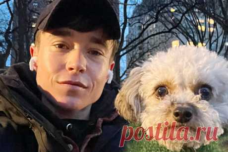 Эллиот Пейдж показал свою внешность через год после смены пола. Актер Эллиот Пейдж, в 2020 году совершивший каминг-аут как трансгендерный мужчина, показал свою внешность через год после смены пола. На размещенном в сети кадре 34-летняя звезда запечатлела себя на улице. Мужчина сфотографировался в черных толстовке, куртке и кепке. На руках Пейдж держит своего пса Мо.