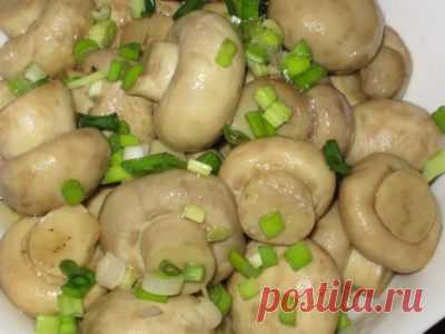 Быстрые маринованные грибы - Простые рецепты Овкусе.ру