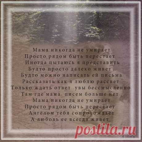 Одноклассники