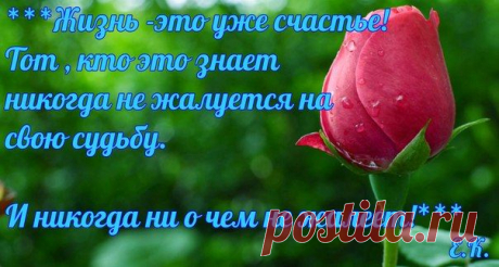 Новости