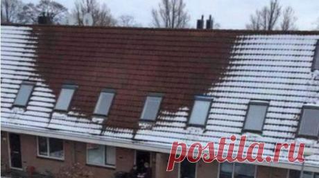 Полицейские внимательно пригляделись к крыше этого дома. Взобравшись на чердак, они оторопели от увиденного... ~