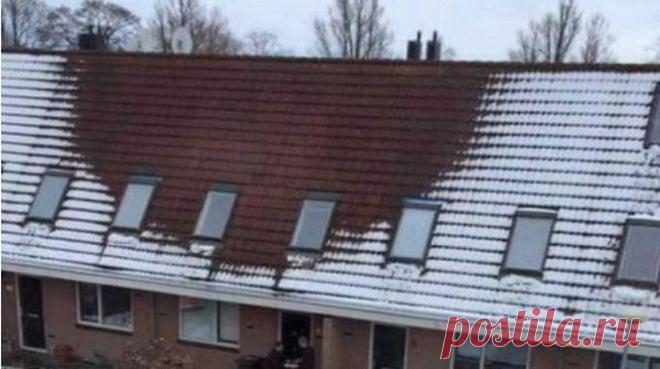 Полицейские внимательно пригляделись к крыше этого дома. Взобравшись на чердак, они оторопели от увиденного... ~