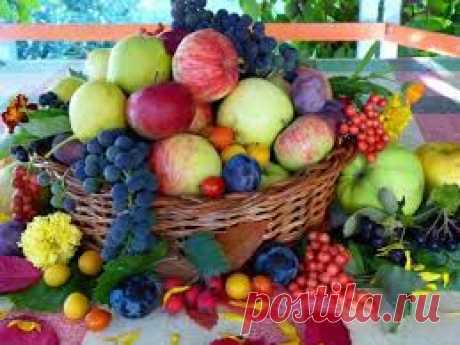Рак излечим! Попрощайтесь с болезнями!