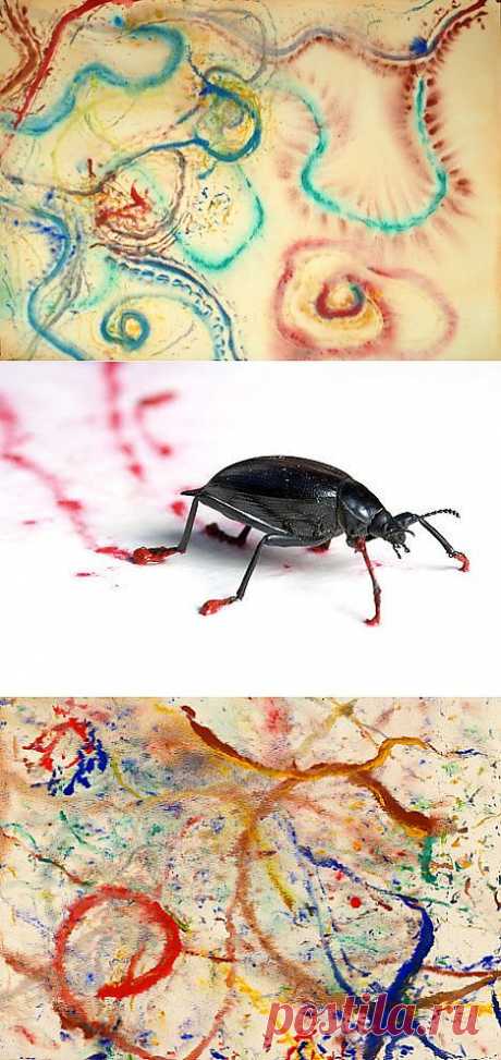 Насекомые - художники (трафик) / Материалы, техники и инструменты / Модный сайт о стильной переделке одежды и интерьера