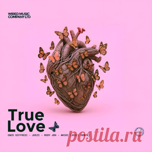 Enzo Siffredi, Joezi, Rody Joh, AKIKI - True Love Remix | 4DJsonline.com