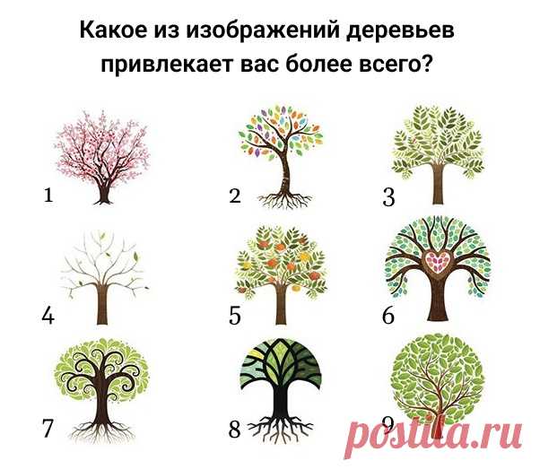 Психологи полагают, что выбор дерева покажет вашу доминирующую черту личности.

1. Романтический.

Человек, который тянется к данному дереву, достаточно романтичен. Как правило, он оптимист и верит, что в мире должна царить любовь и гармония. Такой человек верит в идеальные отношения и не любит одиночество, выбирая серьёзные отношения.

2. Творческий.

Обычно, тот, кто предпочитает такое дерево, является творческой личностью. Также его выбирают люди склонные к науке и заня...