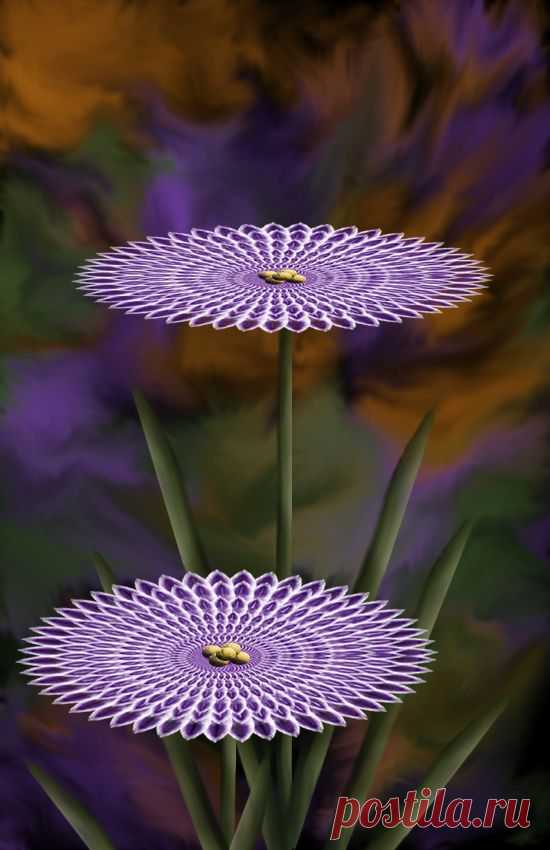 Pinterest