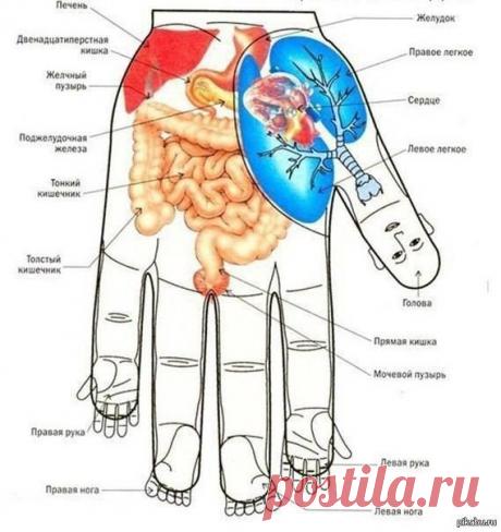 ИДЕАЛЬНАЯ ХОЗЯЙКА. Уют. Здоровье. Красота.