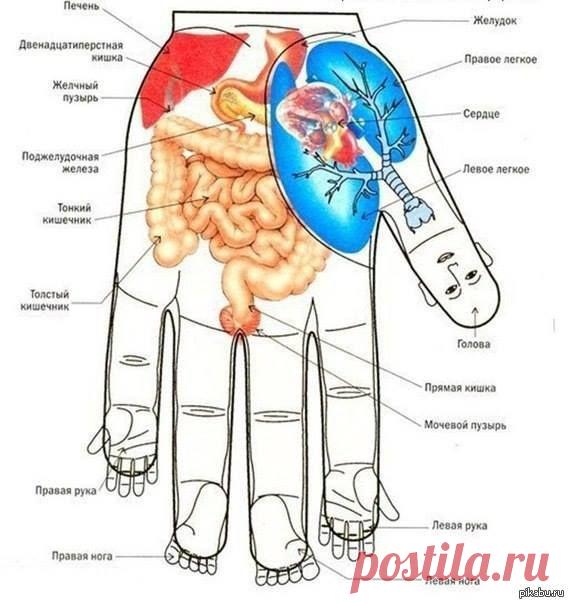 ИДЕАЛЬНАЯ ХОЗЯЙКА. Уют. Здоровье. Красота.