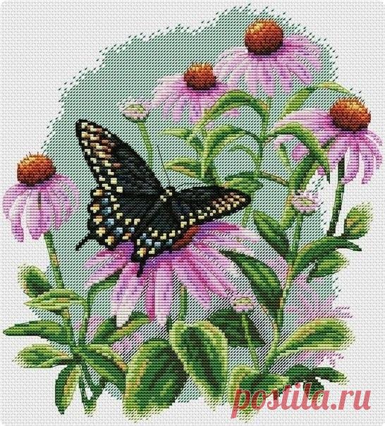 Бaбoчкa. Схeмa для вышивaния кpeстикoм