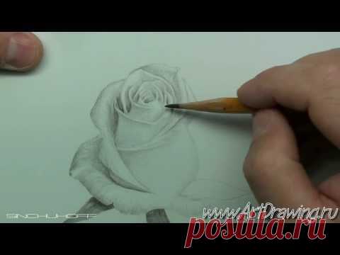 Подарок от Юрия Синчукова