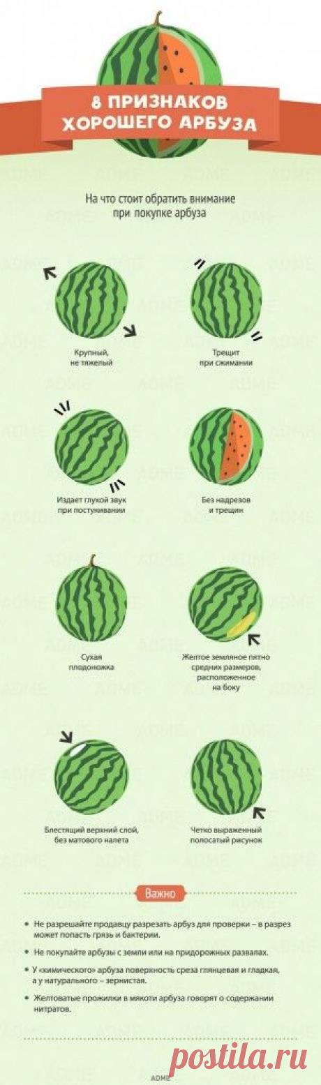 Как выбрать хороший арбуз? Кому противопоказан арбуз? — Всегда в форме!