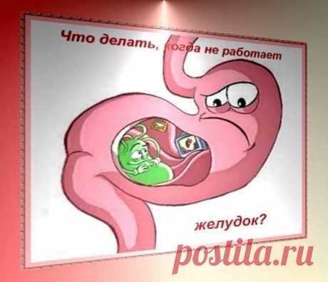 Не работает желудок что делать - лечение