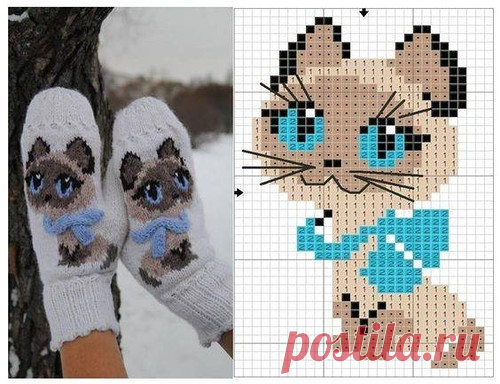 Чудо-варежки с котенком по имени Гав.