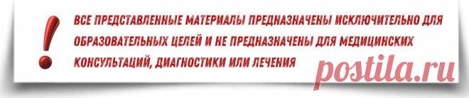Виноград: польза и вред разных сортов — от зеленых до темных и антиоксидант ресвератрол
Виноград известен человеку издавна. Окультурили его 8 000 лет назад на ближнем Востоке. Относится растение (лат. Vitis) к семейству виноградных. Считается, что в это же время зародилась и винодельческая культура. Финикийцы начали поставлять виноград во Францию еще в 600 годах до н.э. В Румынии о винограде говорят: «Кто ест виноград, тот ест сгущённое солнце» О […]
Читай пост далее на сайте. Жми ⏫ссылку выше