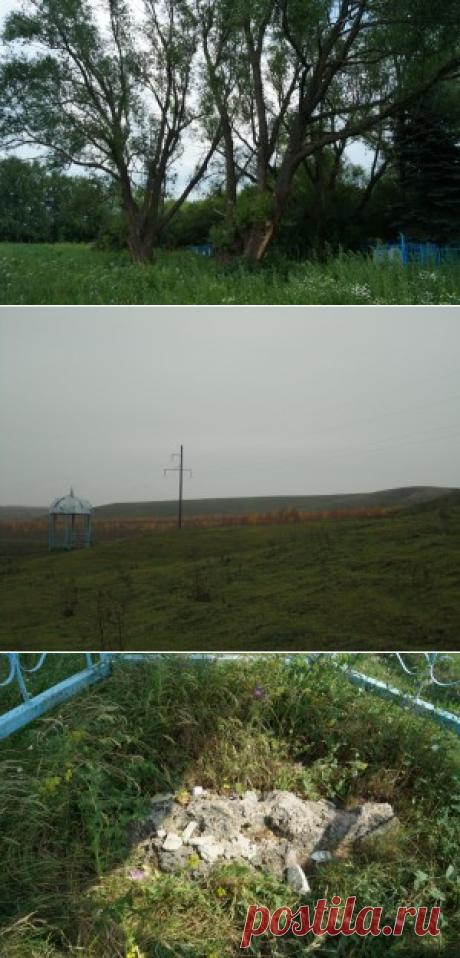 Cвященные ветла и камень Тараташ (татарское село Актуково)