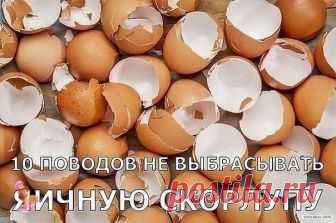 10 ПОВОДОВ НЕ ВЫБРАСЫВАТЬ ЯИЧНУЮ СКОРЛУПУ

1. Лечим многие болезни

Употребление яичной скорлупы помогает бороться с кариесом, остеопорозом, проблемами с позвоночником, кровоточивостью десен, раздражительностью, аллергией. Если вы страдаете астмой, употребление средства с яичной скорлупой позволит вам избавиться от приступов или, по крайней мере, смягчить их. Народная медицина также предлагает рецепты лечения язвы двенадцатиперстной кишки с применением скорлупы яиц. Яичная...