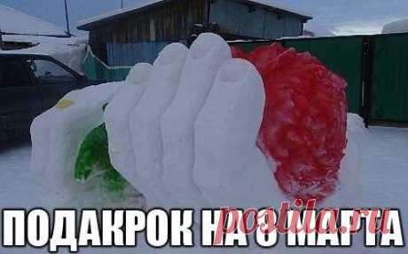 Лучшие приколы! - Группы Мой Мир