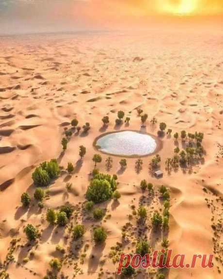 Milagre da vida em deserto da Argélia.