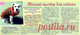Пуловер для собачки - Незатейливый