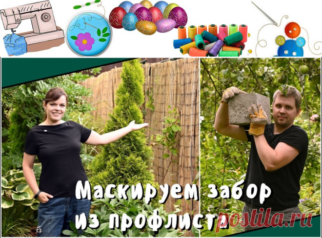 Сделали камышовый забор! /Начинаем строить мангал в беседке / Капельный полив у меня в саду - Поделки своими руками